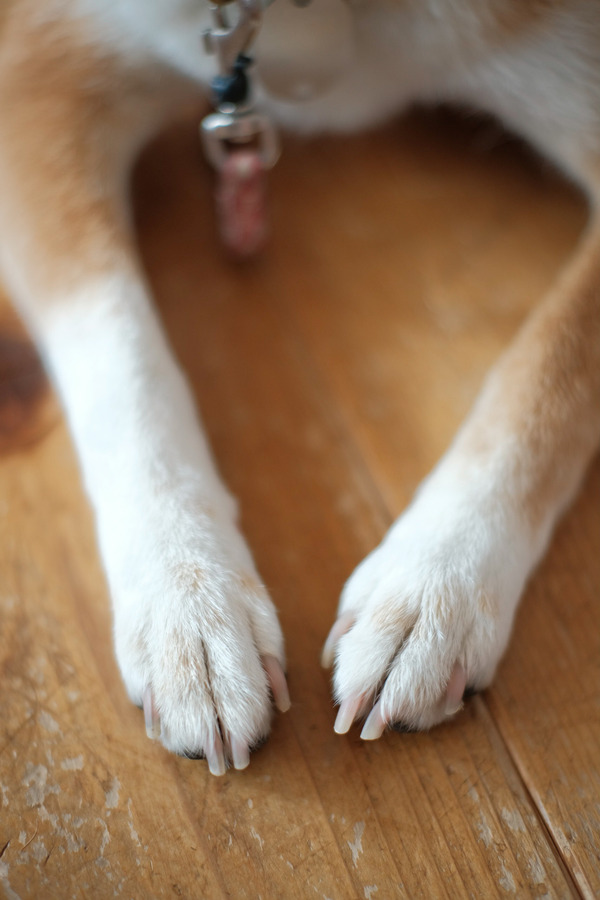 250F3803-6710-4850-83BB-ACF763544C98