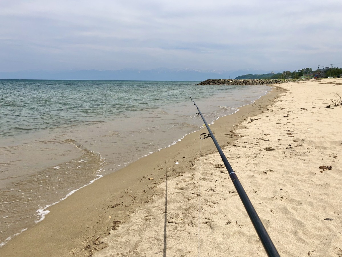 BA1744ED-D303-465F-8B01-70A64252BE47