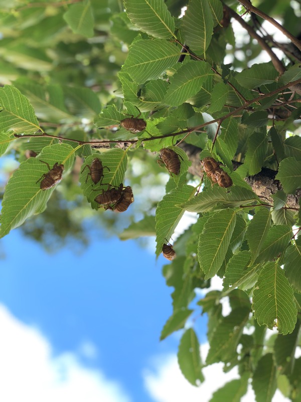 333545A5-C0A7-4947-B7FD-207D90398380