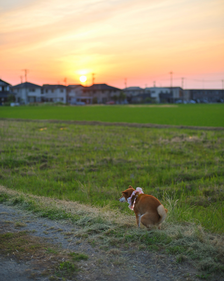 6B770157-9561-43EC-9DA5-956CC312B4DA