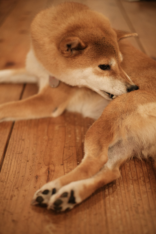 D72430A1-73F5-4057-96AF-2B31DF31FCA8