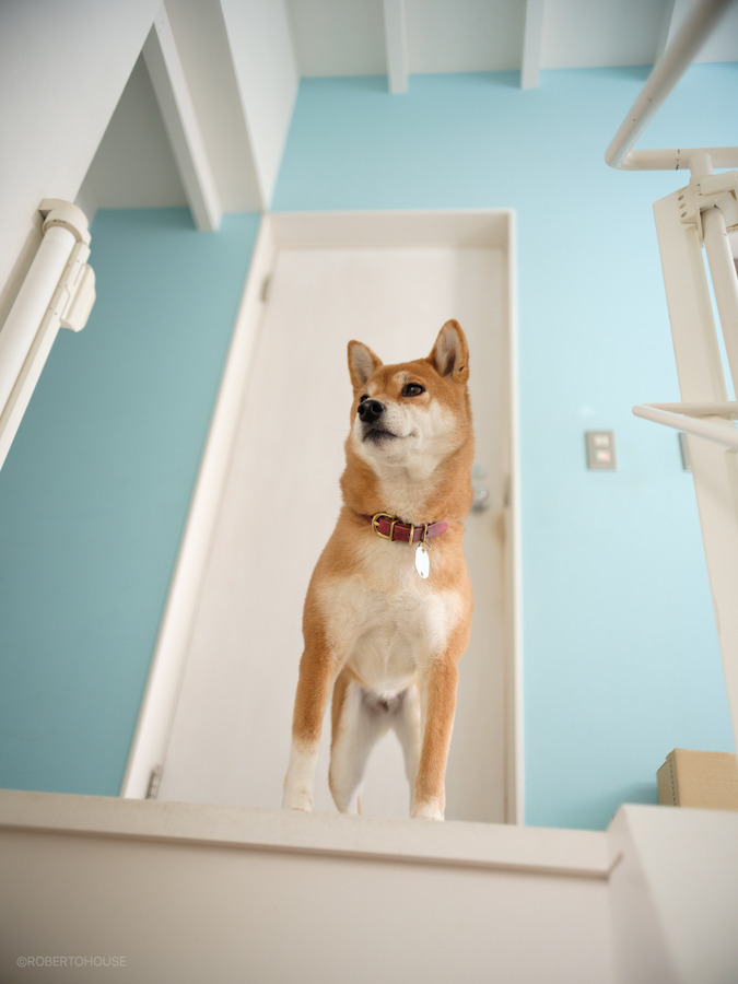 CEAC4D56-D190-4232-B260-D34EEDBF1FD4