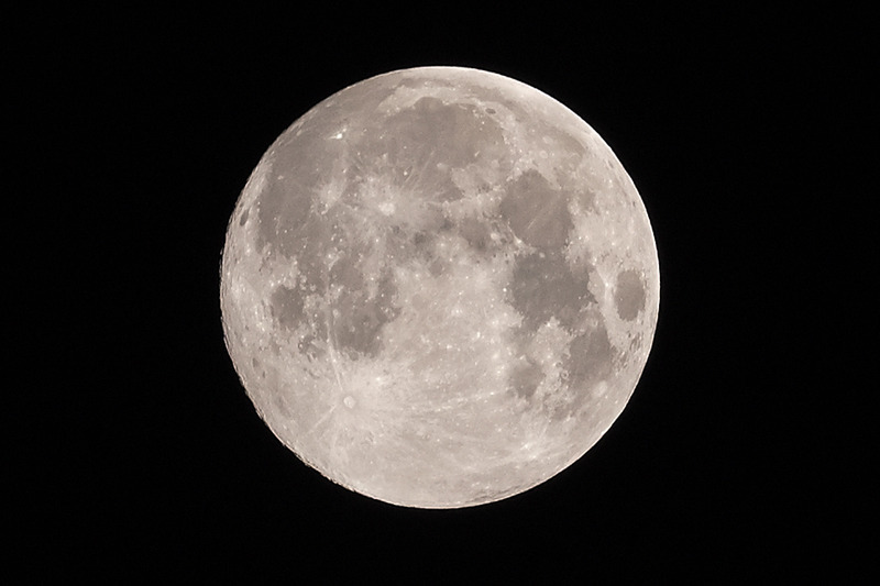 DSC_2629 (2)
