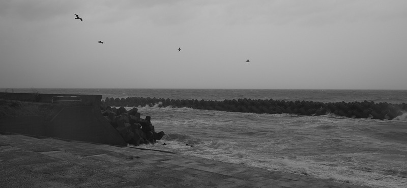 DSC_3707_1600