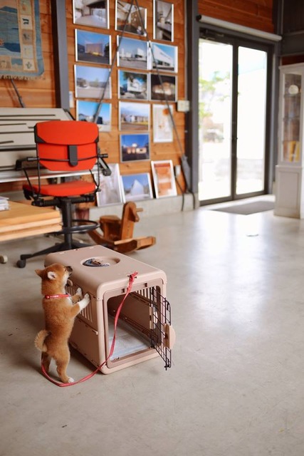 10641045_619943554792755_4546988398940016546_n