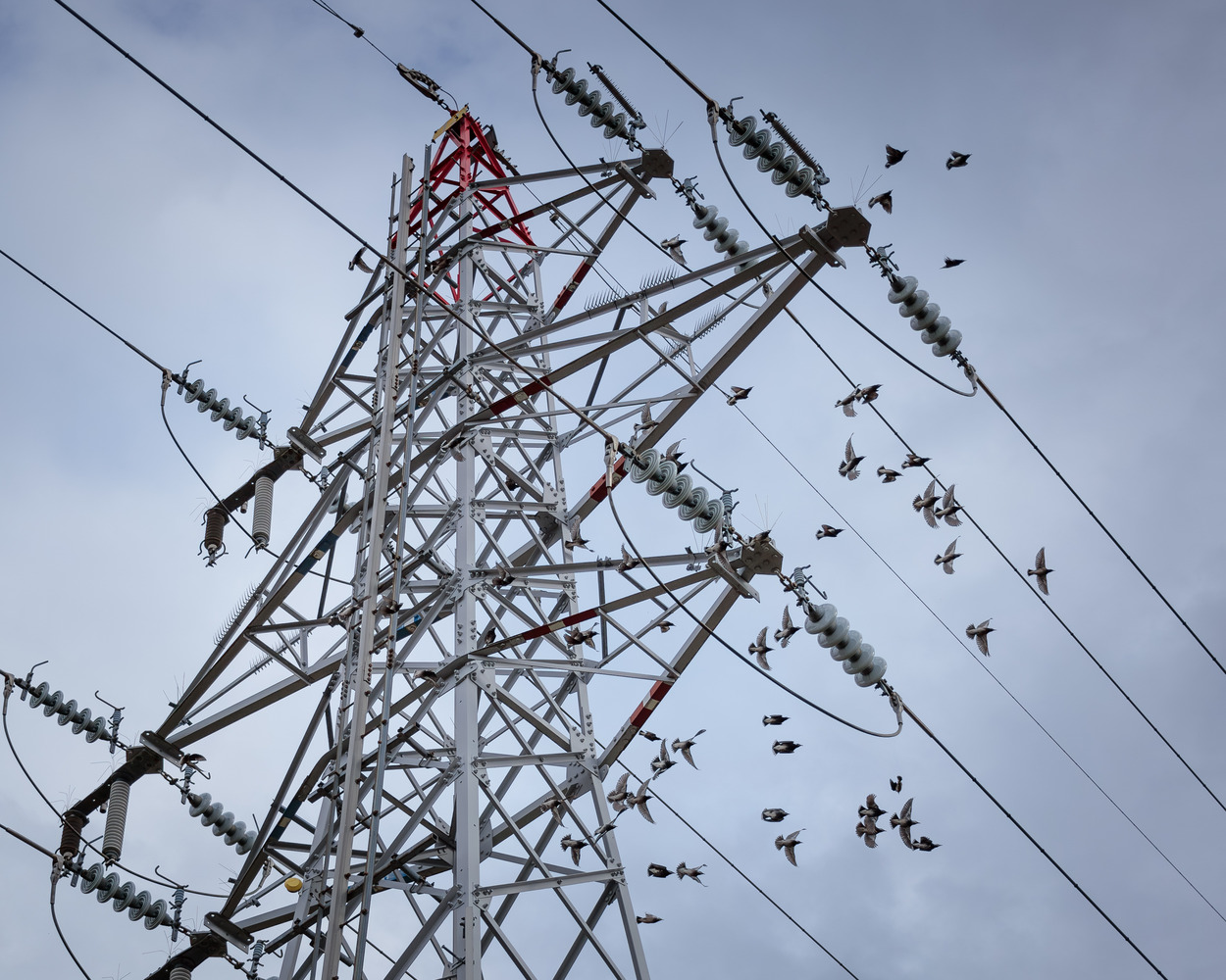 IMG_8376-Enhanced-NR-2