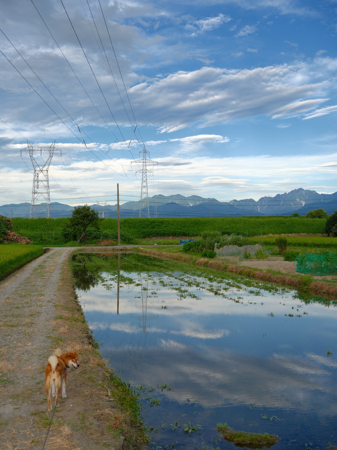 4C57E62F-3E53-4AAA-86EB-82F7528D6F18