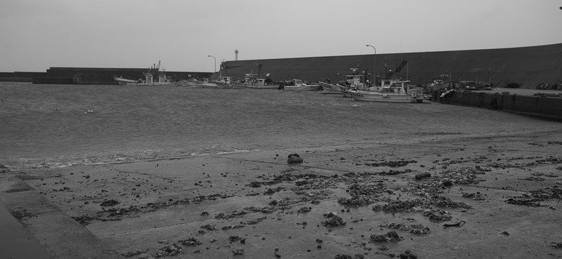 DSC_3775_1600