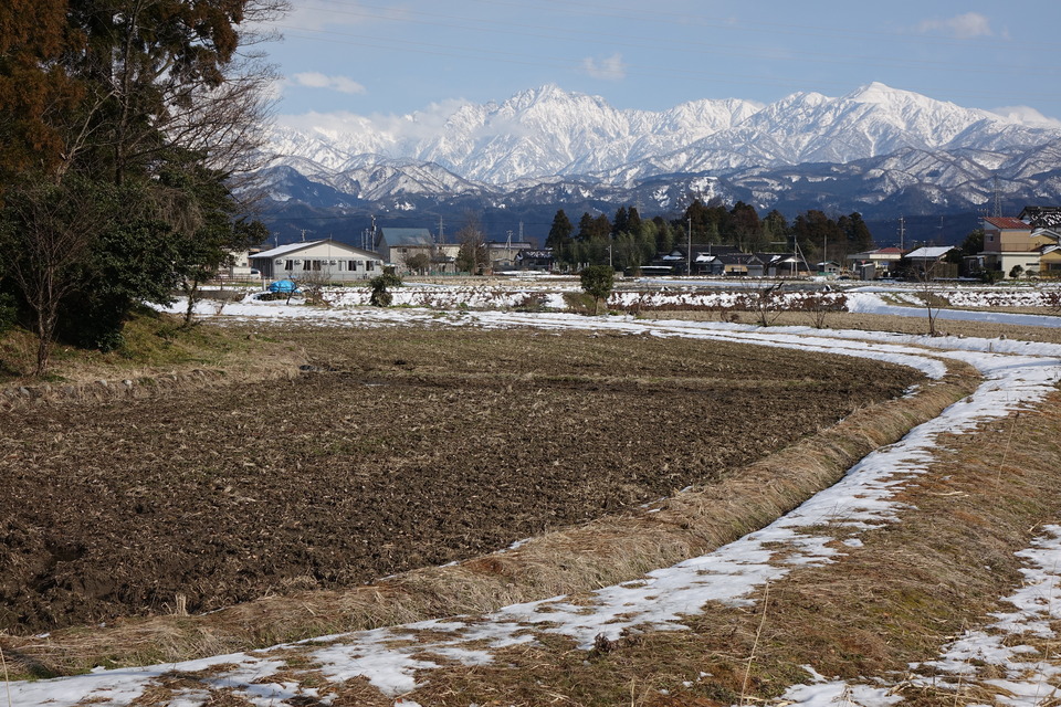 866ED6FD-C3A2-4328-A88E-CBCF7A261176