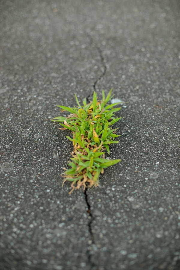 4D5A0805
