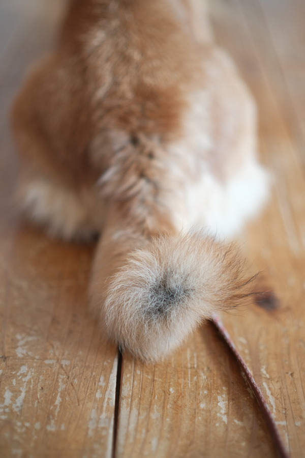 949EBFF1-288E-435A-9C2E-08CDA3B659CE