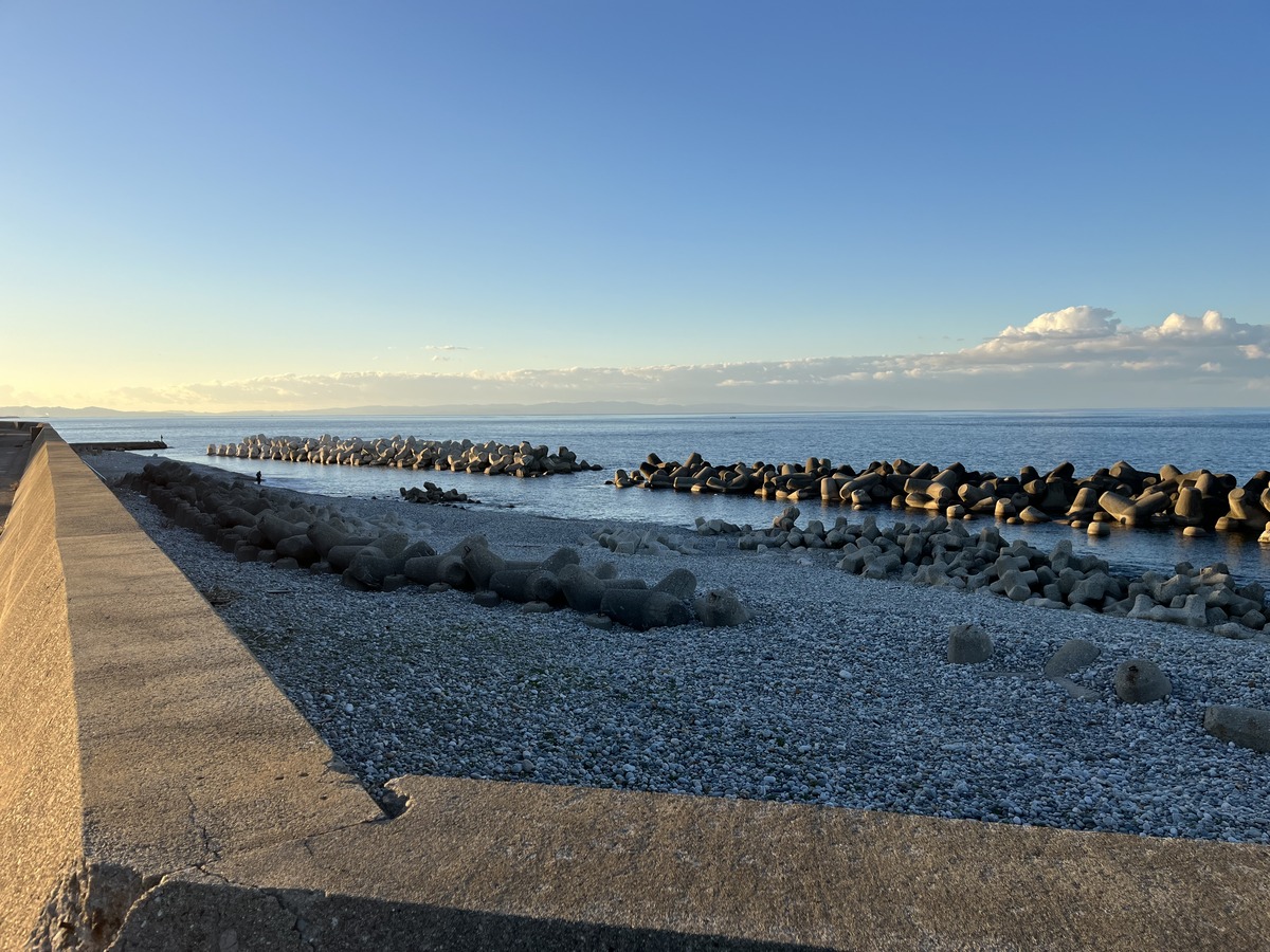 475DCDF1-8662-4359-A01F-AD31775CA128