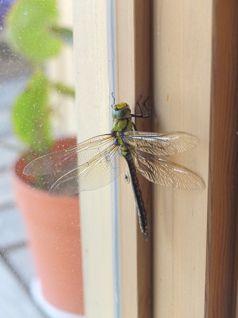 DSCF2301_640