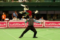 ¥¹¡¼¥Ñ¡¼¥É¥Ã¥°