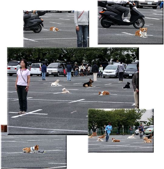 ¥Þ¥Æ¥²¡¼¥à