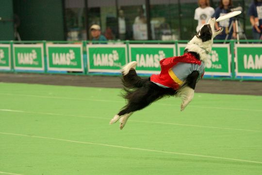 ¥¹¡¼¥Ñ¡¼¥É¥Ã¥°