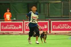 ¥Ï¥¤¥¹¥Ô¡¼¥É