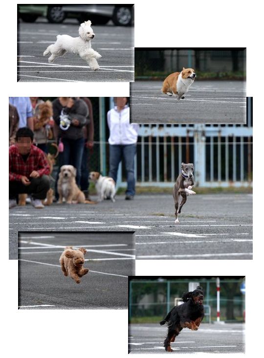 ¥¿¥¤¥à¥ì¡¼¥¹