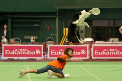 ¥Ç¥£¥¹¥¯¥É¥Ã¥°