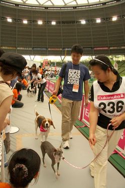 ¥ß¥ß¤´°§»¢