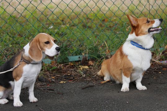 �ʤ�����ȡ�����