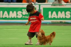 ¥É¥Ã¥°¥À¥ó¥¹