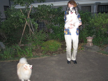 �񤤤��褿�Ρ���