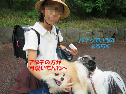BlogPaint