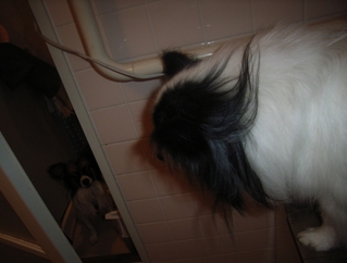 ���ۡ�����