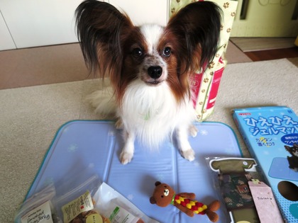 2016(H28)-7-16Τ�Ʋ񤴻ٱ� (3)