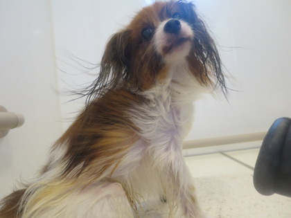 2014(H26)-7-17 �����ס� (5)