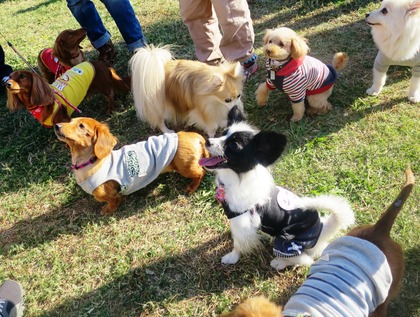 2015(H27)-10-25 第2回卒オフ (246)