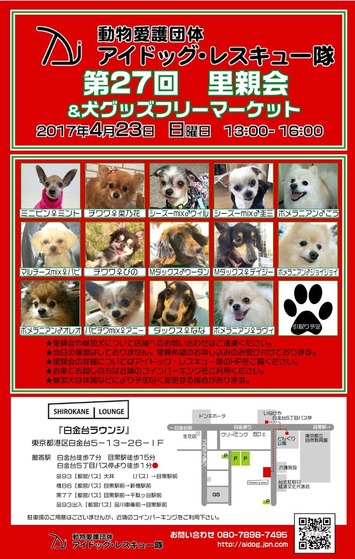 4��Τ�Ʋ񻲲ø�