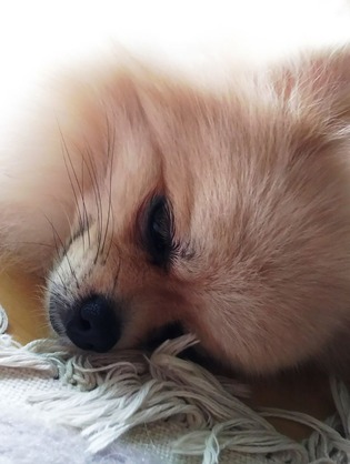 170731 トライアル13日目 03