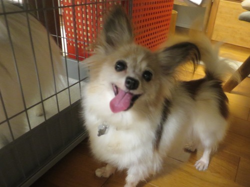 2020(R2)-9-1 �������Τ����� (5)