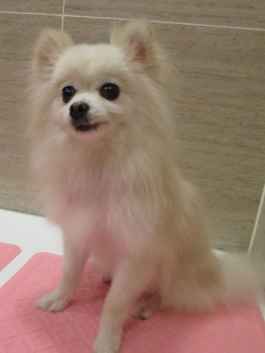 2020(R2)-5-8 ιΩ�����οȤ����ʤ� (3)