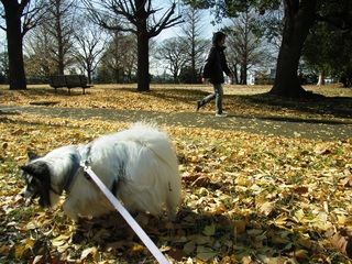 ���ߤΥ����ѥ�