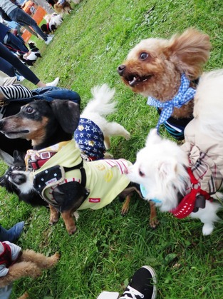 2017-11-3 卒オフ会 (59)