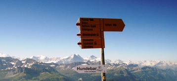 ロートフォルンの水のみ場