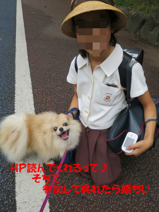 BlogPaint
