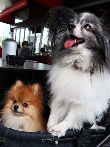 2021(R3)-4-1 ̱Ҷ̻ (3)