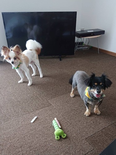 2020(R2)-7-28 ����ޥ������¢��