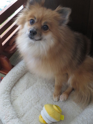 2019(H31)-1-2 退屈だぁ (1)