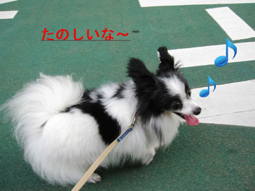 BlogPaint