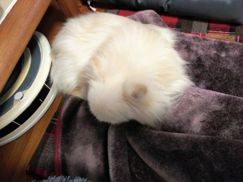 2021(R3)-1-28 ����3ǯ������� (3)