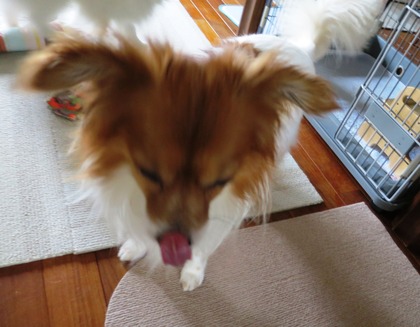 2018(H30)-6-26  (14)