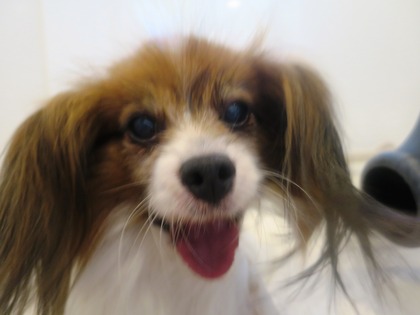 2014(H26)-7-17 �����ס� (9)