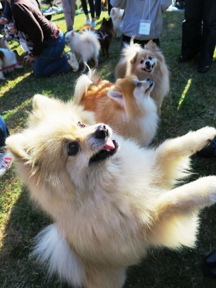 2015(H27)-10-25 第2回卒オフ (198)