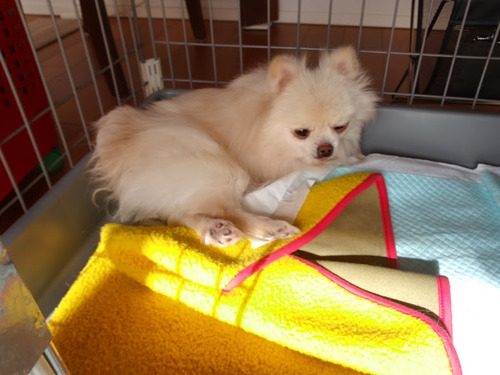 2021(R3)-1-20 �ߥ����ο���� (1)