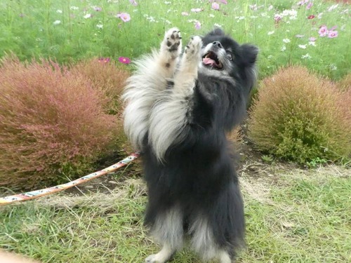 2020(R2)-10-14 ǰʤҤ͸